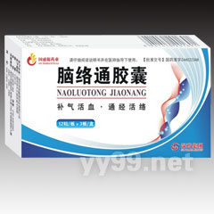 腦絡(luò)通膠囊