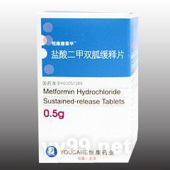 鹽酸二甲雙胍緩釋片