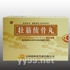 壯筋續(xù)骨丸