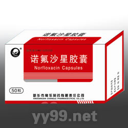 諾氟沙星膠囊