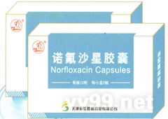 諾氟沙星膠囊