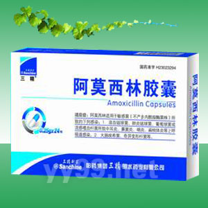 阿莫西林膠囊
