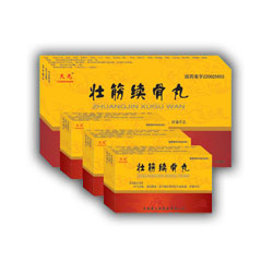 壯筋續(xù)骨丸