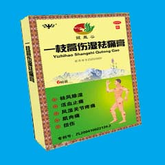 一枝蒿傷濕祛痛膏