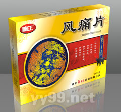 風(fēng)痛片