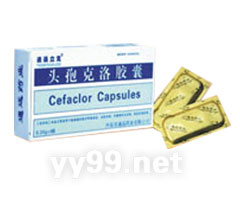 頭孢克洛膠囊